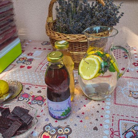 Bungalovy Natura Trávnica Buitenkant foto