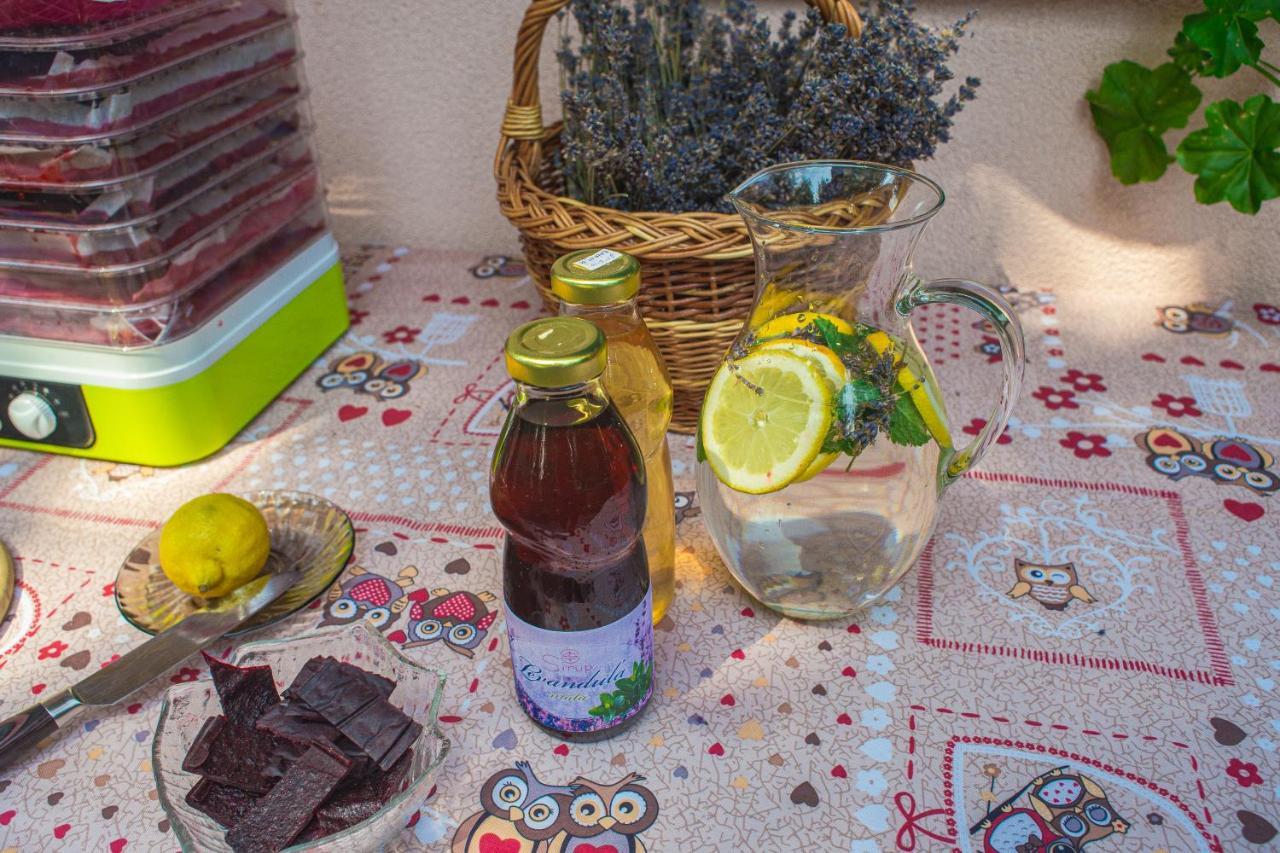 Bungalovy Natura Trávnica Buitenkant foto